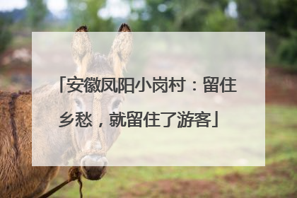 安徽凤阳小岗村：留住乡愁，就留住了游客