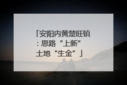 安阳内黄楚旺镇：思路“上新” 土地“生金”
