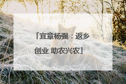 宜章杨强：返乡创业 助农兴农