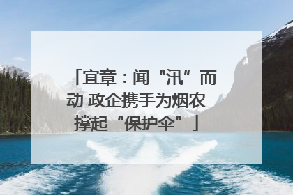 宜章：闻“汛”而动 政企携手为烟农撑起“保护伞”