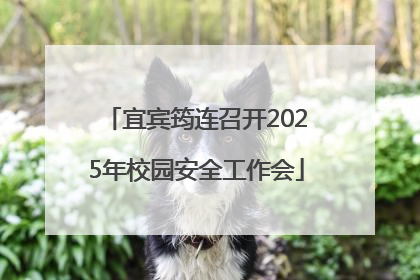 宜宾筠连召开2025年校园安全工作会