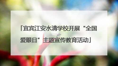 宜宾江安水清学校开展“全国爱眼日”主题宣传教育活动