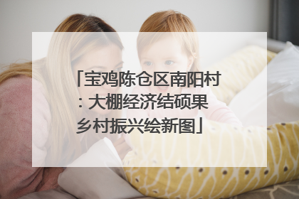 宝鸡陈仓区南阳村：大棚经济结硕果 乡村振兴绘新图
