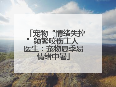 宠物“情绪失控”频繁咬伤主人 医生：宠物夏季易情绪中暑