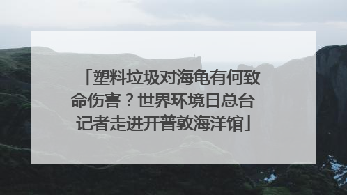 塑料垃圾对海龟有何致命伤害？世界环境日总台记者走进开普敦海洋馆