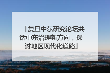 复旦中东研究论坛共话中东治理新方向，探讨地区现代化道路