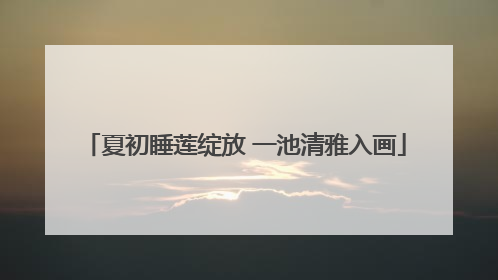 夏初睡莲绽放 一池清雅入画