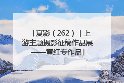 夏影（262）｜上游主题摄影征稿作品展——黄红专作品