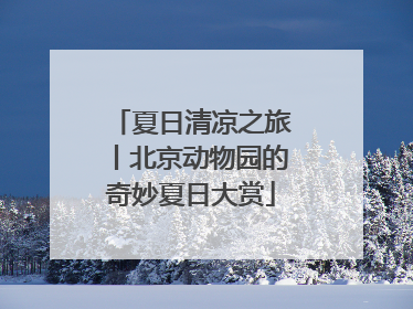 夏日清凉之旅丨北京动物园的奇妙夏日大赏