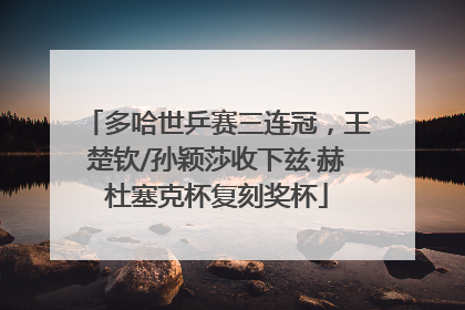 多哈世乒赛三连冠，王楚钦/孙颖莎收下兹·赫杜塞克杯复刻奖杯