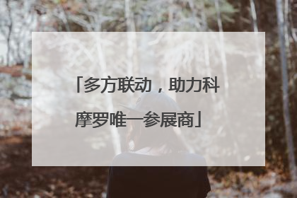 多方联动，助力科摩罗唯一参展商