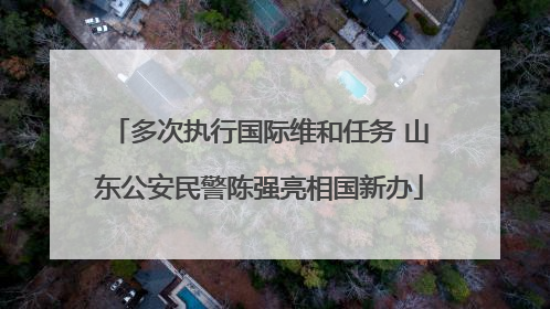 多次执行国际维和任务 山东公安民警陈强亮相国新办