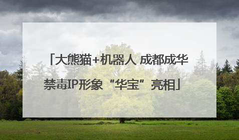 大熊猫+机器人 成都成华禁毒IP形象“华宝”亮相