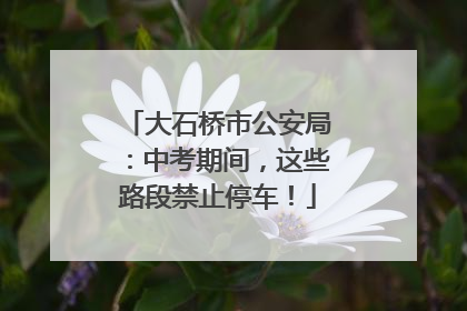 大石桥市公安局：中考期间，这些路段禁止停车！