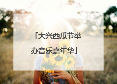 大兴西瓜节举办音乐嘉年华