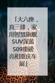 大六座，真三排，家用智慧旗舰SUV深蓝S09重磅亮相重庆车展