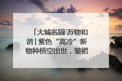 大城名园 万物和谐│紫色“高冷”新物种横空出世，皱褶叶片暗藏进化密码