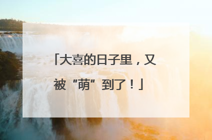 大喜的日子里，又被“萌”到了！
