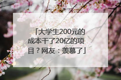 大学生200元的成本干了20亿的项目？网友：羡慕了