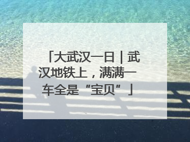 大武汉一日｜武汉地铁上，满满一车全是“宝贝”