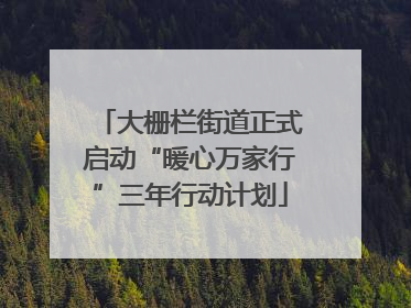 大栅栏街道正式启动“暖心万家行”三年行动计划
