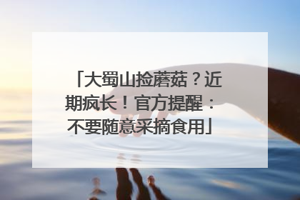 大蜀山捡蘑菇？近期疯长！官方提醒：不要随意采摘食用