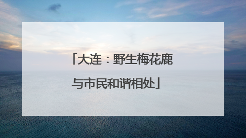 大连：野生梅花鹿与市民和谐相处