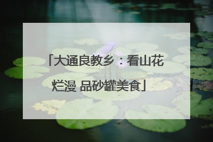 大通良教乡：看山花烂漫 品砂罐美食