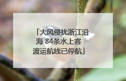 大风侵扰浙江沿海 84条水上客渡运航线已停航