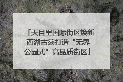 天目里国际街区焕新 西湖古荡打造“无界公园式”高品质街区