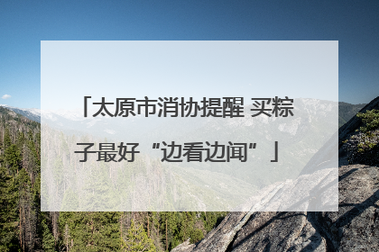 太原市消协提醒 买粽子最好“边看边闻”