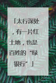 太行深处，有一片红土地，也是百姓的“绿银行”