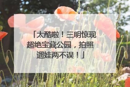 太酷啦！三明惊现超绝宝藏公园，拍照遛娃两不误！