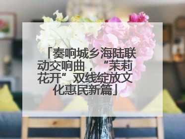 奏响城乡海陆联动交响曲，“茉莉花开”双线绽放文化惠民新篇