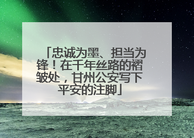 忠诚为墨、担当为锋！在千年丝路的褶皱处，甘州公安写下平安的注脚
