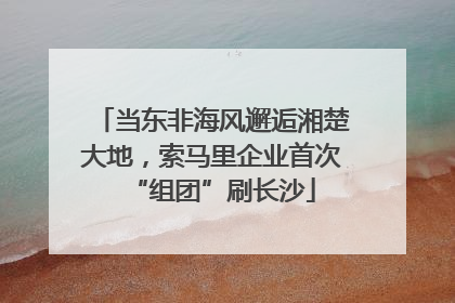 当东非海风邂逅湘楚大地，索马里企业首次“组团”刷长沙