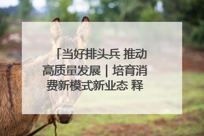 当好排头兵 推动高质量发展｜培育消费新模式新业态 释放经济增长新动能