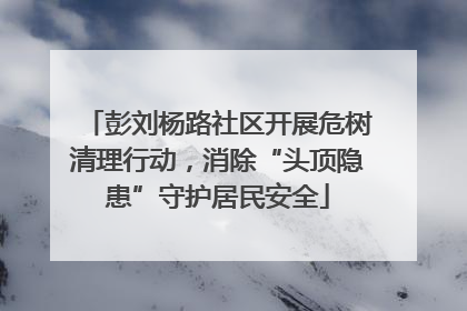 彭刘杨路社区开展危树清理行动，消除“头顶隐患”守护居民安全