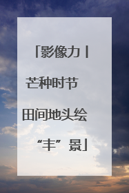 影像力丨芒种时节 田间地头绘“丰”景