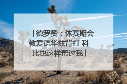 德罗赞：休赛期会教爱德华兹背打 科比也这样帮过我