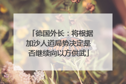 德国外长：将根据加沙人道局势决定是否继续向以方供武
