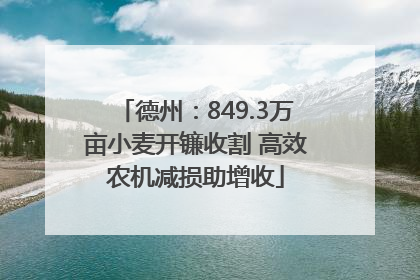 德州：849.3万亩小麦开镰收割 高效农机减损助增收