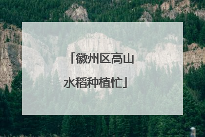 徽州区高山水稻种植忙