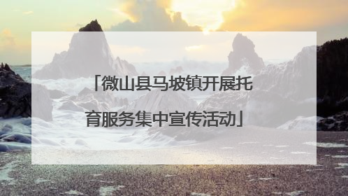 微山县马坡镇开展托育服务集中宣传活动