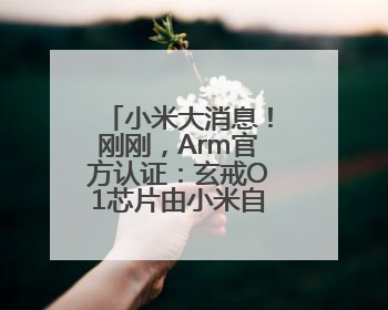 小米大消息！刚刚，Arm官方认证：玄戒O1芯片由小米自主研发！雷军此前称已开始大规模量产