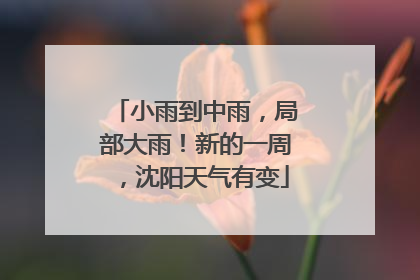 小雨到中雨，局部大雨！新的一周，沈阳天气有变