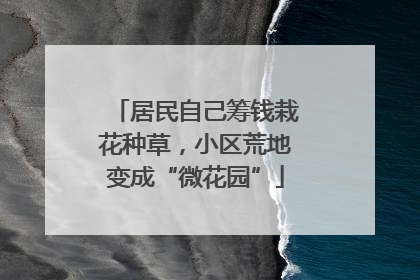 居民自己筹钱栽花种草，小区荒地变成“微花园”