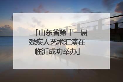 山东省第十一届残疾人艺术汇演在临沂成功举办