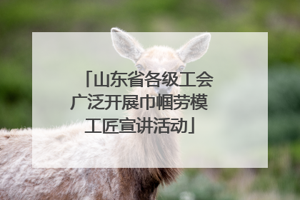 山东省各级工会广泛开展巾帼劳模工匠宣讲活动