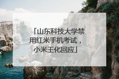 山东科技大学禁用红米手机考试，小米王化回应
